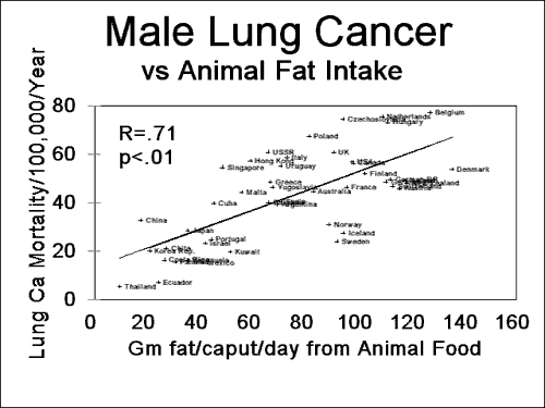 Plant Based Diet Reduce Cancer Growth On Kidney